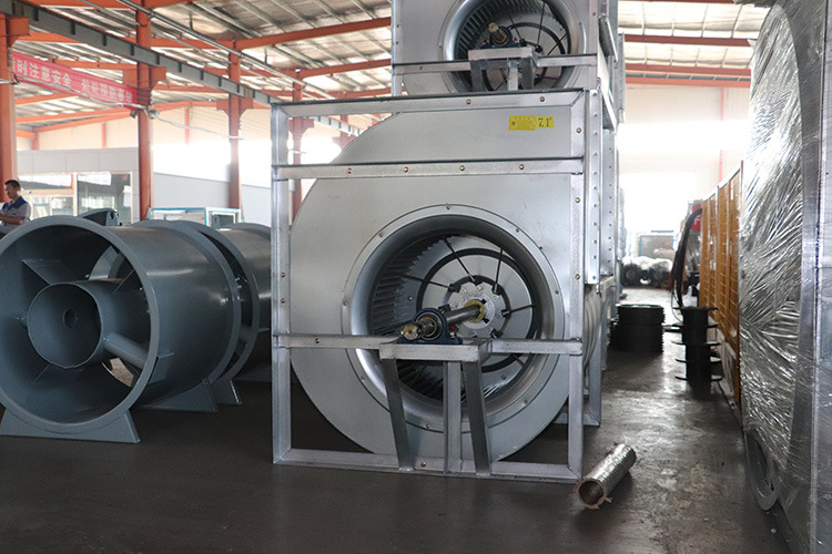 紱誨績椋庢満緇存姢鐨?涓敞鎰忕偣鏈夊摢浜涳紵